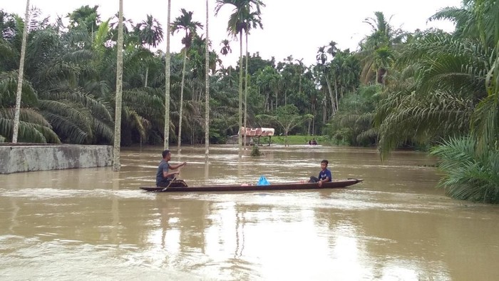 9 Kabupaten di Aceh Kena Banjir, 15 Ribu Warga Mengungsi