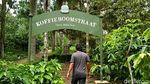 Foto: Barista Bule dan Kebun Kopi Peninggalan Belanda di Blitar