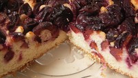 Tiga tahun kemudian (1983), Plum Torte menjadi sangat diminati. Berawal dari resep yang dibagikan di The New York Times, kue ini begitu diminati karena terdapat plum ungu kecil Italia dan gula yang dipanggang hingga menjadi torte yang lezat. Foto: Istimewa