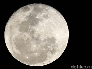 Ada Bulan Cacing Penuh di Langit Malam Nanti