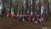 Foto: Sekawanan traveler yang sedang asyik camping di Taman Sipinsur. Kalau camping di sini jangan buang sampah sembarangan ya (Jefris/detikTravel)