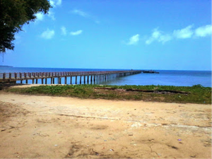Wisatawan Malaysia Diajak Jelajahi Pantai di Sambas