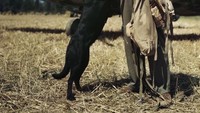 Sejumlah momen itu dipotret dengan Kodachrome yang sangat kecil. Digunakan secara eksperimental dengan diberikan kepada beberapa fotografer resmi yang mereka bawa ke beberapa lokasi dan menggunakannya dengan sangat hemat (CNN Style/IWM)
