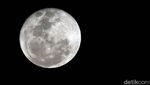 Begini Penampakan Supermoon di Langit Jakarta
