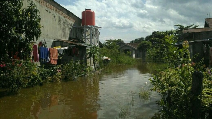 Sungai Siak Pasang, Rumah Warga Diterjang Banjir