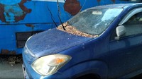 Tumpukan dedaunan kering menempel di wiper kaca depan. Banyak pula yang bannya kempes. Foto: Mobil Dinas di DPR yang telantar. (Danu Damarjati/detikcom).