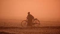 Orang tengah berjalan membawa sepedanya di pematang sawah (Foto: Dok. REUTERS/Danish Ismail)