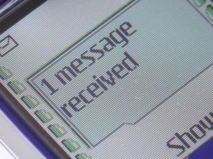 Wabup Banyumas Diberondong SMS Notifikasi Belanja Usai WA Dikuasai Hacker