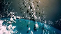 Foto Selat Florida dan Bank Grand Bahama ini diambil saat misi Gemini IV di orbit no. 19 tahun 1965 (Foto: Dok. NASA)