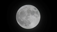 Penampakan supermoon di Harpenden, Hertfordshire, Inggris (Foto: Dok. REUTERS/Peter Cziborra)