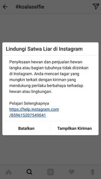 Instagram Cegah Pengguna Selfie dengan Hewan Liar