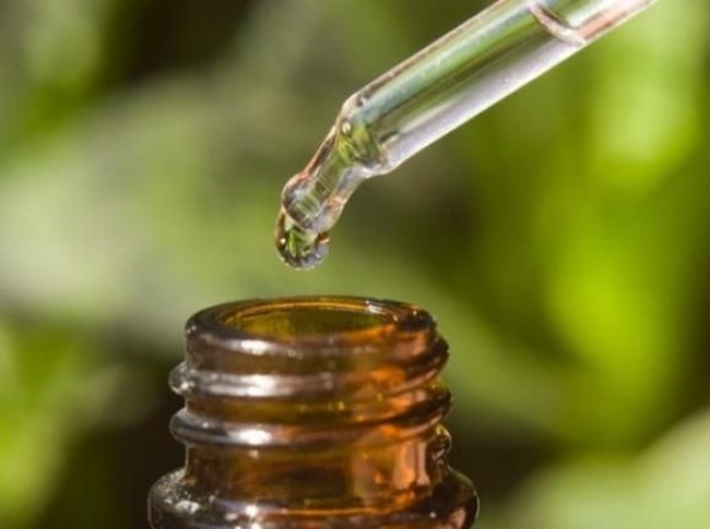 Ilustrasi Tea Tree Oil minyak tea tree