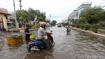 Banjir Rob Rendam Muara Baru Jakarta Utara