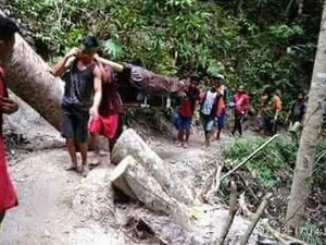 Pilu Warga Sulsel Tandu Jenazah Sejauh 36 Km Tembus Hutan