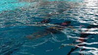 Momen Sandiaga berenang di kolam akuatik GBK.