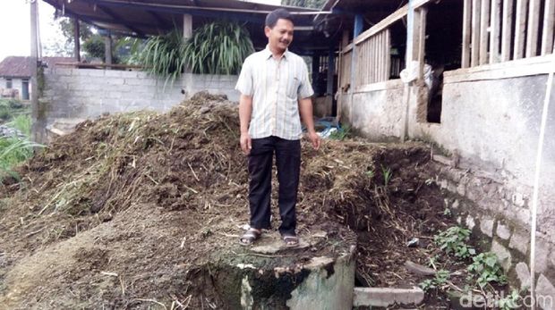 Digester tempat menampung kotoran ternak