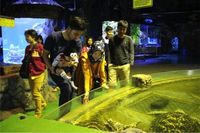 Ini Trik Liburan untuk Anak di Musim Hujan