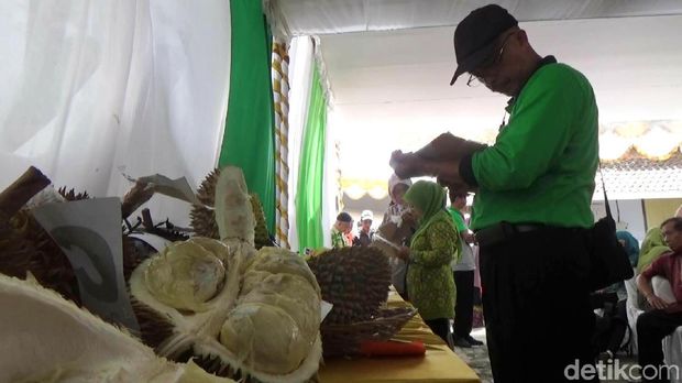 Purworejo Gelar Audisi Cari Raja Durian Baru
