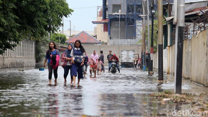 Banjir Rob Rendam Muara Baru Jakarta Utara