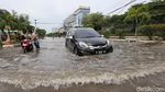 Banjir Rob Rendam Muara Baru Jakarta Utara