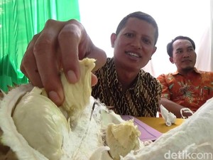 Purworejo Gelar Audisi Cari Raja Durian Baru
