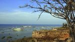 Foto: Pulau di Sumenep yang Warganya Hidup Hingga 100 Tahun
