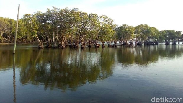 Bukan Cuma Goyangan, Karawang Juga Punya Pantai Hits