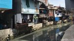 Before-After Kali Jati Bunder yang Dibersihkan Pasukan Oranye