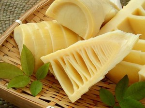 Selain Renyah Enak Buat Isi Lumpia, Rebung Bisa Cegah Obesitas