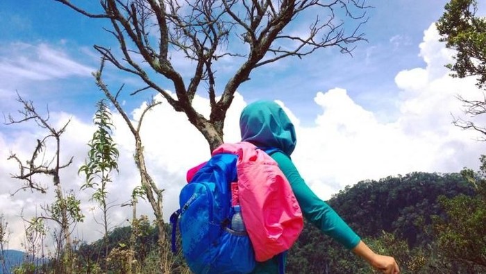 gunung