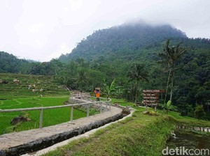 Terpopuler: Fakta-fakta Menarik Desa Wisata Melung