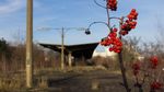 Foto: Wisata Bangunan yang Terlupakan di Berlin