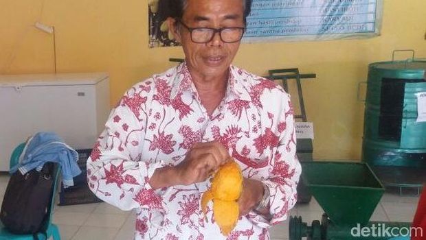 Mengupas mangga seperti mengupas buah pisang.