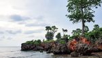 Foto: Pulau di Sumenep yang Warganya Hidup Hingga 100 Tahun