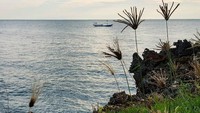 Menurut penelitian dari Lembaga Penerbangan dan Antariksa Nasional (LAPAN), kadar oksigen di Pulau Giliyang berkisar sekitar 3,4 sampai 4,8 persen di atas normal (@mymoyi/Instagram)