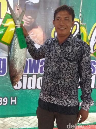 Bandeng berbobot 7,70 kg milik Sutriman/