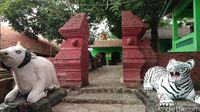 Makam Keramat Ini Jejak Peninggalan Raja Pertama di Cirebon