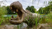 Ciaran Fahey mengisahkan perjalanannya. Ia yang lahir di Irlandia adalah jurnalis foto di balik keluarnya situs web populer Abandoned Berlin (Dok. CNN Travel)