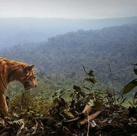 DetikNews - Berita hari ini di Indonesia dan Internasional