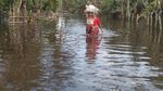 Foto: Banjir Masih Genangi Aceh Utara, Warga Kekurangan Makanan