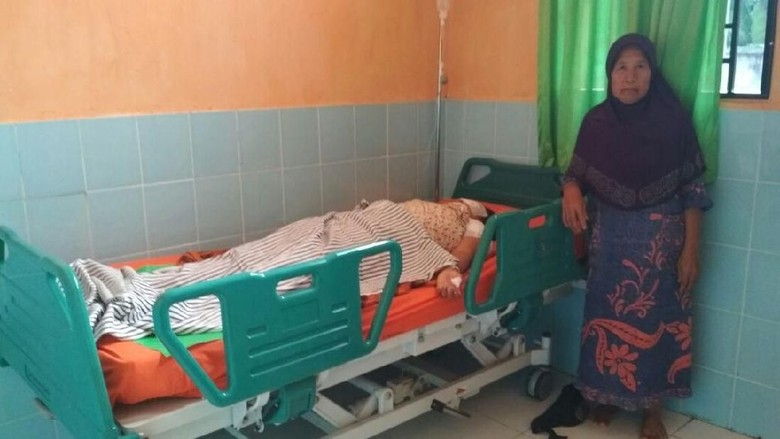 Diterkam Beruang, Seorang Petani Karet Alami Patah Tulang Hidung Diterkam Beruang, Seorang Petani Karet Alami Patah Tulang Hidung