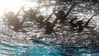 CIMB Niaga Indonesia Open Aquatic Championship 2017 mempertandingkan lima cabang olahraga, yakni menyelam, renang indah, renang, polo air dan renang artistik.