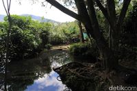 Mata Air di Titik 0 Sungai Citarum (Baban/detikTravel)