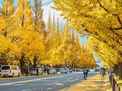 Potret Jepang Dulu dan Sekarang, Ternyata Tetap Tertib