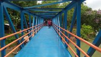 Perbaiki Infrastruktur, BUMN Ini Bangun 8 Jembatan di Berbagai Daerah
