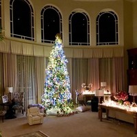 Seperti Kylie, pohon Natal Britney Spears tak kalah tingginya. Selain lampu hias yang berkilauan, Britney juga memakai seekor rusa dan anjing berukuran asli sebagai ornamen pemanis. (Foto: Instagram)