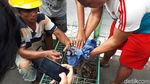 Foto: Ini Sanca Batik 4 Meter yang Bikin Warga Ciputat Geger
