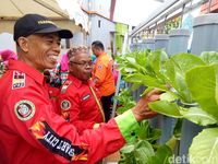 (Ibnu Munsir/detikTravel)
