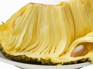 Rutin Konsumsi Nangka Muda, Bisa Bikin Tubuh Langsing dan Cegah Insomnia