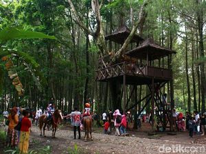 Imbas Erupsi Gunung Agung, Sektor Pariwisata Banyuwangi Meningkat